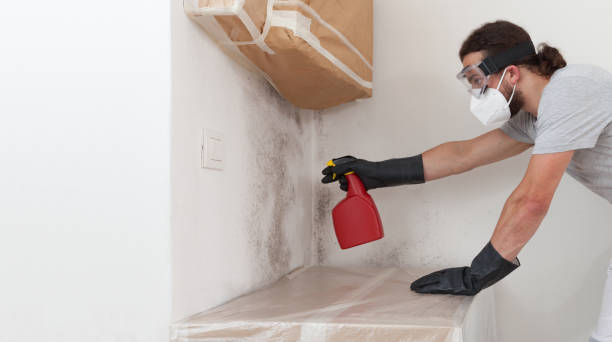 Professional Attic Mold Remediation technician working in Devon, PA