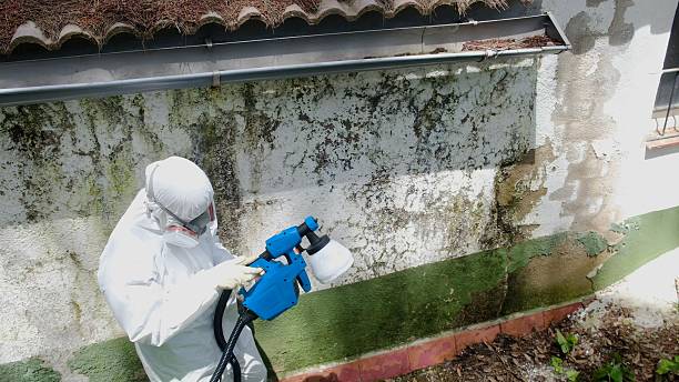 Top rated local Attic Mold Remediation specialists in Devon, PA